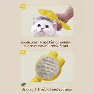 🔥หวีกำจัดขน หวีแมว หวีสุนัข มีปุ่มดันขนออก หวีแปรงขนสัตว์ ทำความสะอาดง่าย แบบหมุด