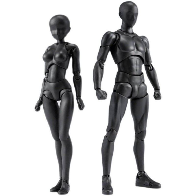 จัดส่งทันที SHF Human Mannequin ฟิกเกอร์ หุ่นโมเดล ชาย หญิง หุ่นฟิกเกอร์มนุษย์ ขยับได้ สําหรับศิลปิน - รูปที่ 5