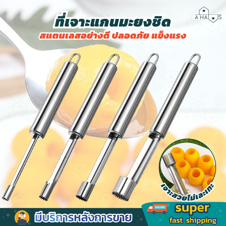 A HAUS ที่เจาะแกนผลไม้ อุปกรณ์คว้านเม็ด มีดคว้าน มีดแกะสลัก คว้านเม็ด มะยงชิด พุทรา เชอร์รี่ แอปเปิ้ล สแตนเลส