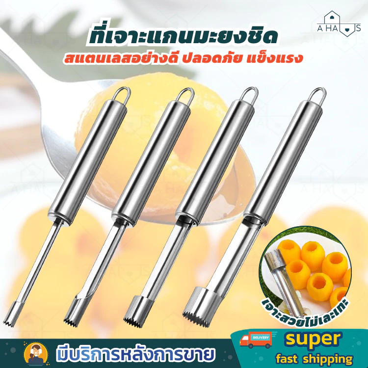 A HAUS ที่เจาะแกนผลไม้ อุปกรณ์คว้านเม็ด มีดคว้าน มีดแกะสลัก คว้านเม็ด มะยงชิด พุทรา เชอร์รี่ แอปเปิ้ล สแตนเลส
