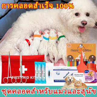 แนะนำโรงพยาบาล🏥ทำคลอดแมว ครบหมดจบพร้อมคลอดผลิตภัณฑ์สําหรับสั…