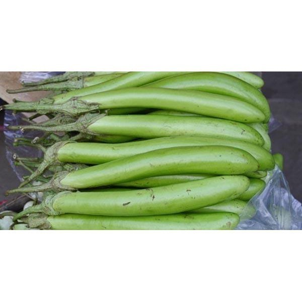 [10เเถม1คละได้] เมล็ดมะเขือยาว 90-200 เมล็ด หวานกรอบ  คัดพิเศษ มีคู่มือปลูก