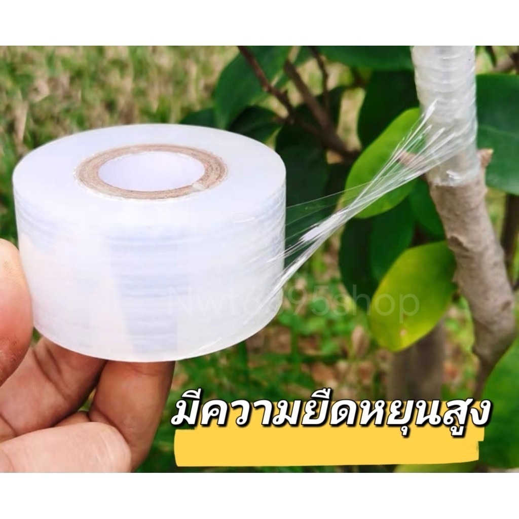 ฟิล์มยืด พันต้นไม้ เหนียวพิเศษ ฟิมล์ยืดใส  ความยาว 200 เมตร กวาง5cm/3cm