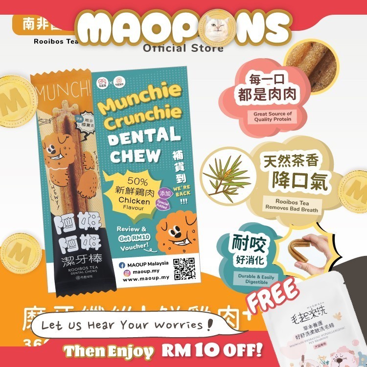 MAOUP Dental Chew - Single Chew (Rooibos Tea)