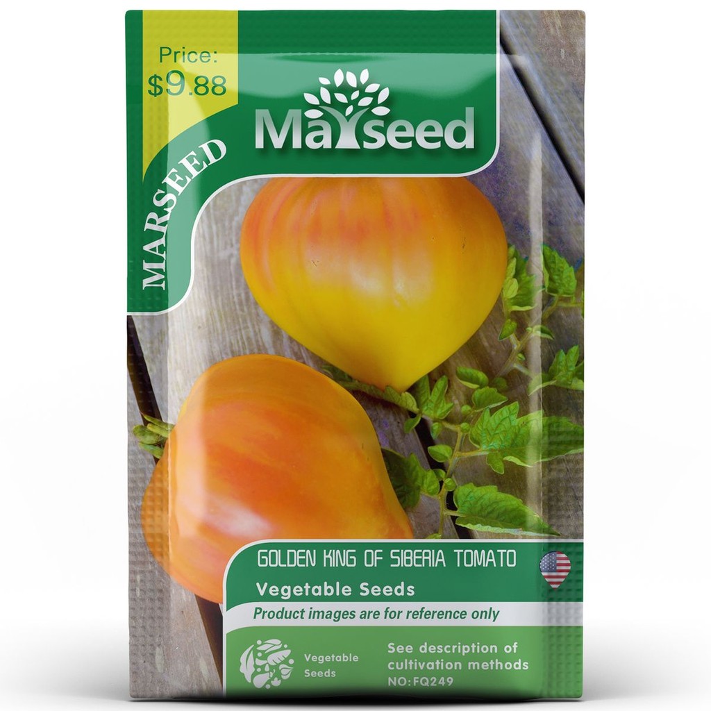 เมล็ดมะเขือเทศ Heirloom Golden King Siberian Husky King