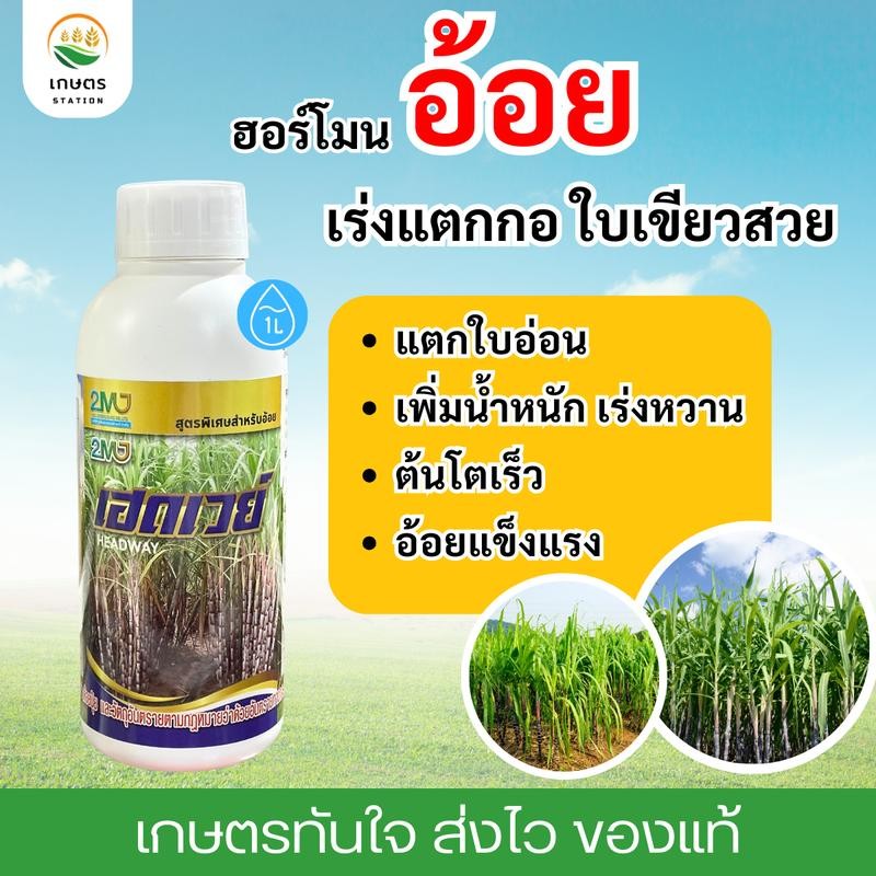ฮอร์โมนอ้อย เฮดเวย์ อ้อยแตกกอ แตกใบอ่อน ใบเขียวสวย เจริญเติบโตดี 1 ลิตร ปุ๋ย ทาง ใบ ฮอร์โมน พืช