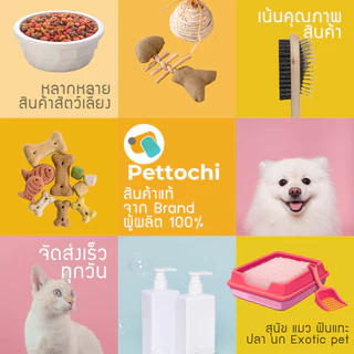 [ยกโหล] Nekko เน็กโกะ อาหารเปียกแมว 70g 12 ซอง สำหรับลูกแมว แมวโต แมวสูงวัย Senior7+ Senior 11+