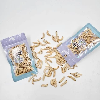 หนอนแว๊กซ์ฟรีซดราย 10 กรัม [ แห้ง ] สำหรับชูการ์ เม่นแคระ ลิง กระรอก แฮมสเตอร์ บุชเบบี้