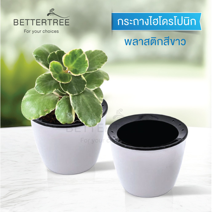 กระถางไฮโดโปนิกสีขาวชั้นด้านในสีดำ ขนาด 3 นิ้ว  กระถางไฮโดโปนิก รดน้ำได้อัตโนมัติ รดน้ำ