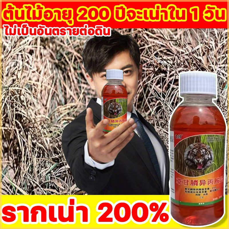 200ml หยดเดียว หญ้าตายและรากเน่า ยาฆ่าตอไม้ กำจัดต้นไม้ กำจัดต้นไม้หญ้าไม้ไผ่ ผลติดทนนาน ไม่เป็นอันตรายต่อดิน