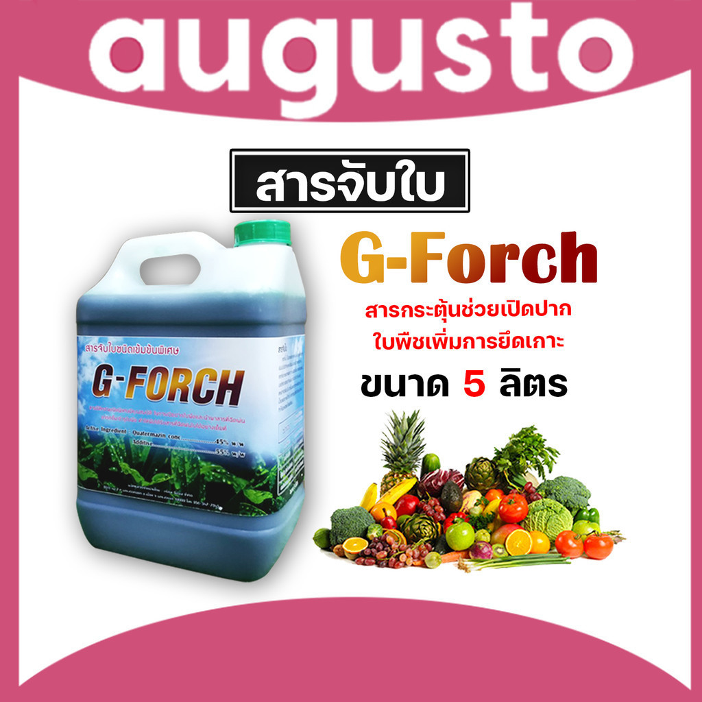 G-force และ Mountain สารจับใบเข้มข้นชนิดพิเศษ  ขนาด 5,25 ลิตร  ช่วยในการยึดเกาะพื้นผิว ทำให้น้ำยาแผ่กว้าง ดูดซึมได้ดี