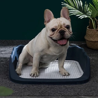 🐶ห้องน้ำหมาขอบสี่เหลี่ยม ห้องน้ำสุนัข ถาดฉี่สุนัข มีเสาถอดได้ มีตะแกรงรองถาด ทำความสะอาดง่าย ถาดรองฉี่สุนัข