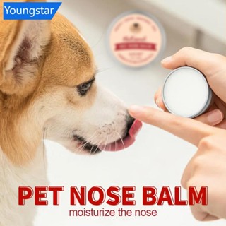 FYY ครีมให้ความชุ่มชื้นจมูกสัตว์เลี้ยง Mild ปลอดสารพิษ Anti-…