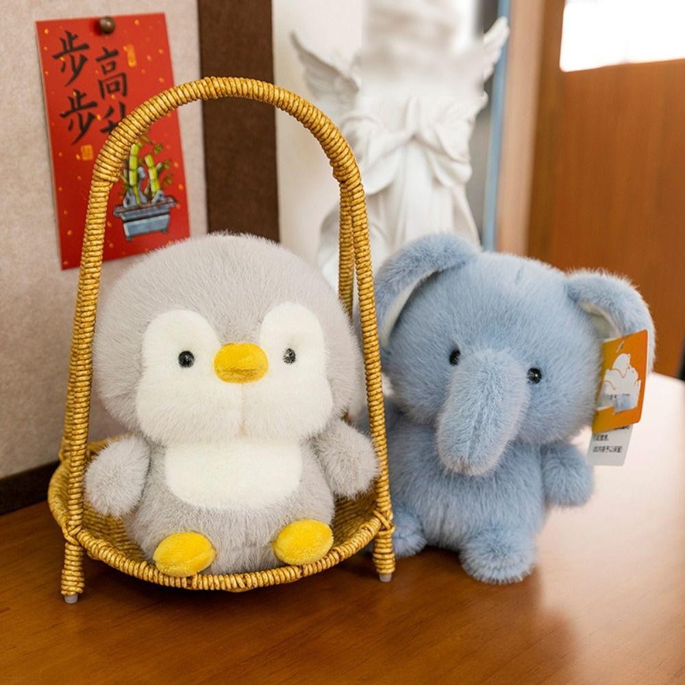 รูปภาพ 5