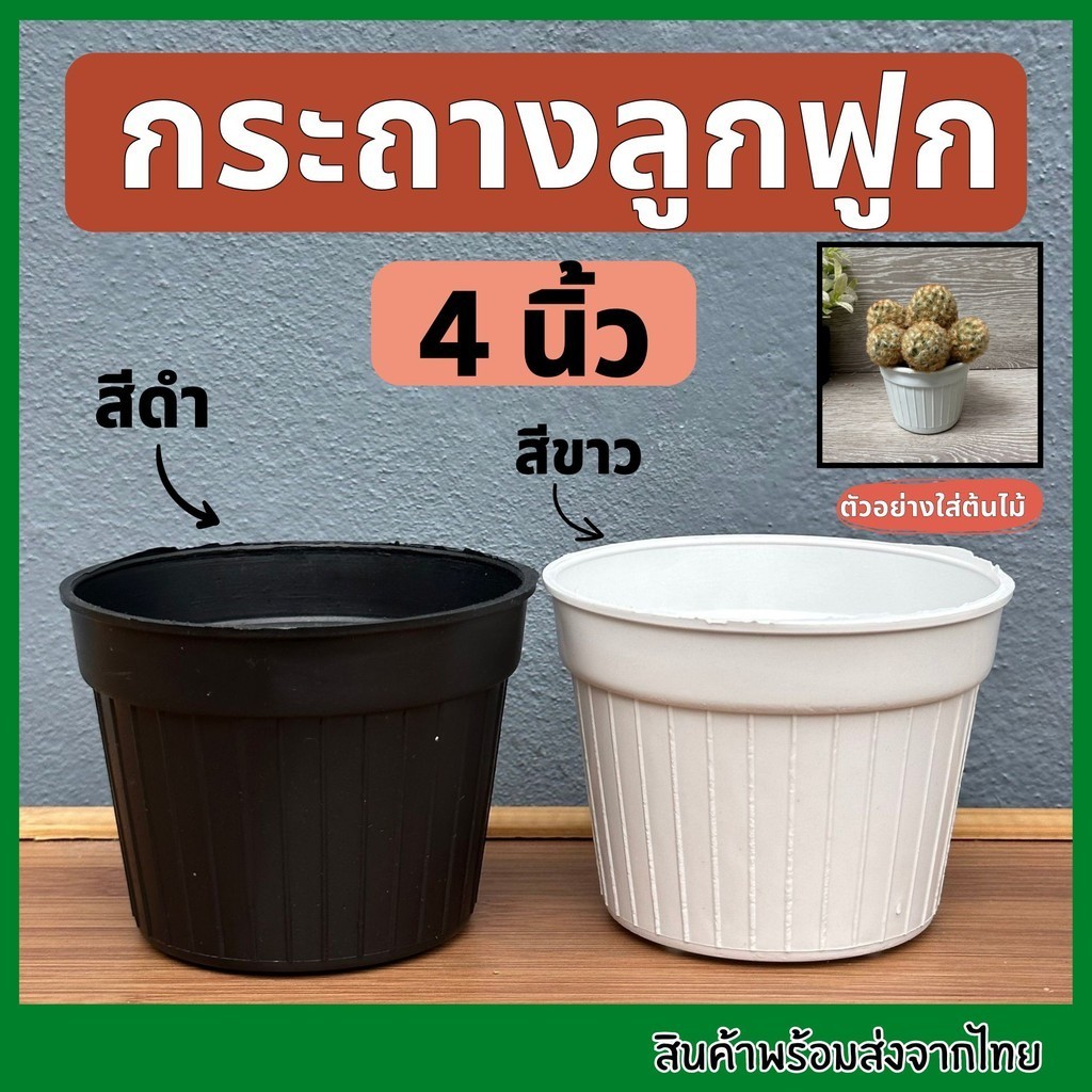 กระถางลูกฟูก 4 นิ้ว  กระถาง4นิ้ว กระถางลูกฟูก กระถางลอน