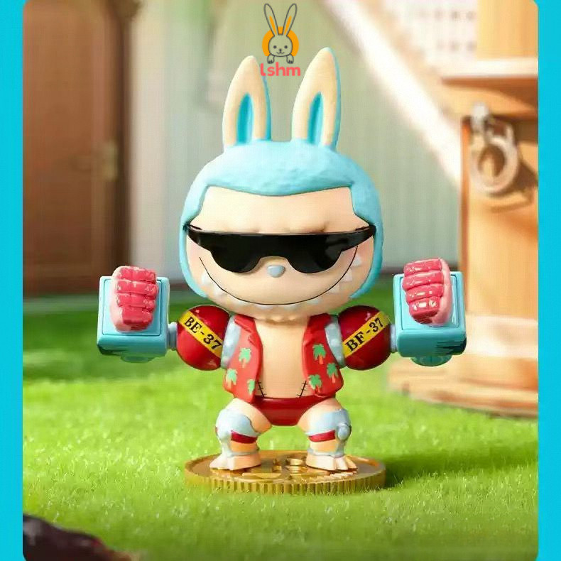 Popmart One Piece Series Blind Box Figure Labubu One Piece