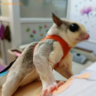 Mulinhe เชือกจูงสัตว์เลี้ยง หนูแฮมสเตอร์ กระรอก ขนาดเล็ก กันลม กันหาย 4 ชิ้น
