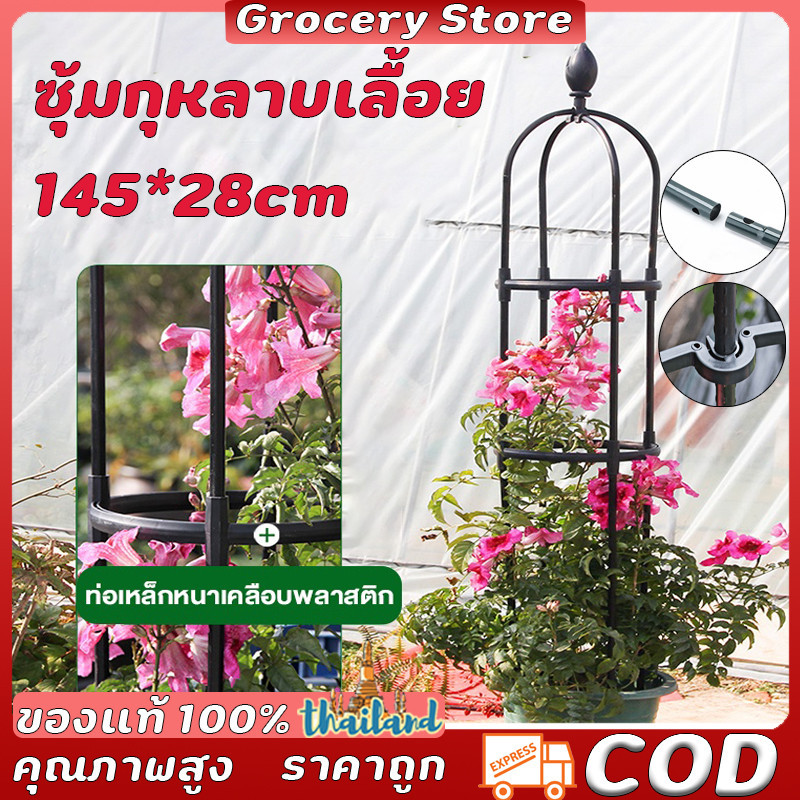 145ซม*28ซม ซุ้มกุหลาบ ซุ้มกุหลาบเลื้อย โครงกุหลาบเลื้อย ซุ้มไม้เลื้อย เหล็กแข็งแรง ท่อเหล็กเคลือบ วิชาพลศึกษา ป้องกันสนิม กระถางต้นไม้
