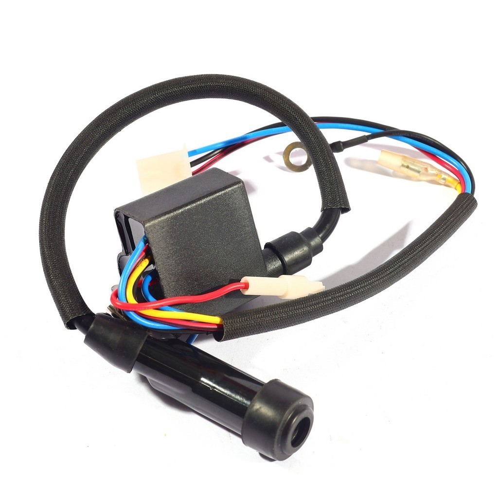 POLO Ignition Coil Assy Spare Part For Gasoline Inverter Generator Model GT9000I