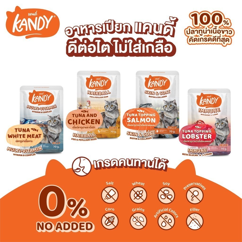 รูปภาพ 4