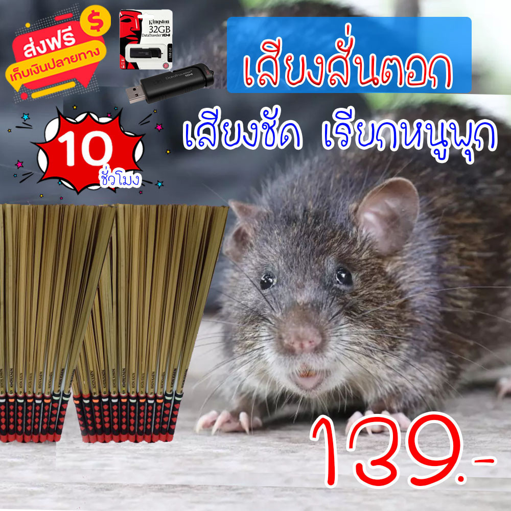 เสียงต่อ เสียงสั่นตอก เรียกหนู ล่อหนู แฟลชไดร์ฟเสียงสั่นตอก เสียงใสกังวาน ได้ผล100%