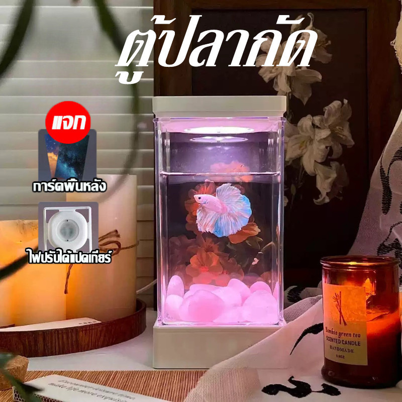 🐟 ตู้ปลากัด ตู้ปลาขนาดเล็ก สวิตช์ USB เหมาะสำหรับเลี้ยงปลากัด ตกแต่งตู้ปลา