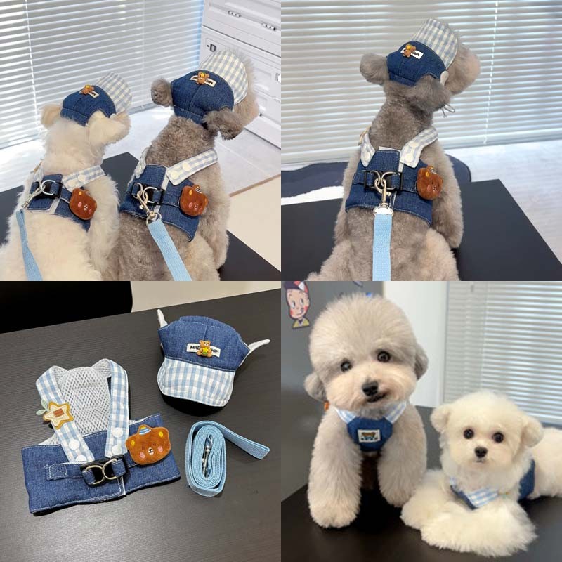 สายรัดสุนัขพร้อมสายจูงฤดูร้อนแมวหมวกกลางแจ้งชุดสุนัขอุปกรณ์สายจูงสัตว์เลี้ยงลูกสุนัขอุปกรณ์เสริม