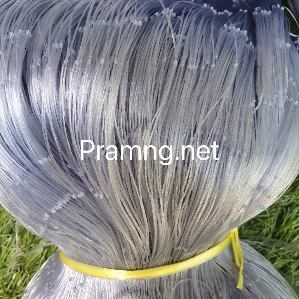 ข่ายเอ็นเกลียว (2เซน-24เซน)ลึก30/50ตา ยาว180เมตร(เนื้อเปล่า) สินค้าเกรดเอ เกลียว (0.12*8เส้น/0.20*6เส้น) - รูปที่ 5