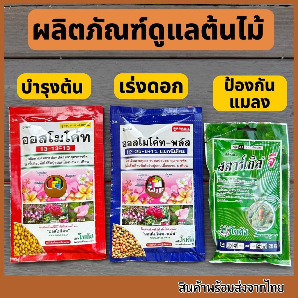ปุ๋ยออสโมโค้ท ปุ๋ย สูตรบำรุงต้น สูตรเร่งดอก สตาร์เกิลจี ยากันแมลง ปุ๋ยละลายช้า