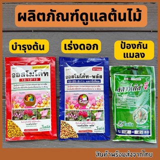 ปุ๋ยออสโมโค้ท ปุ๋ย สูตรบำรุงต้น สูตรเร่งดอก สตาร์เกิลจี ยากั…
