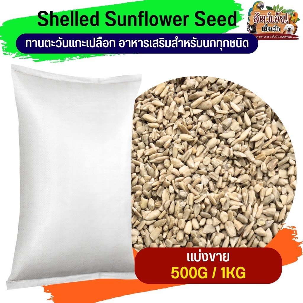 Shelled Sunflower Seed เมล็ดทานตะวันแกะเปลือก (แบ่งขาย 250G/500G/1KG)