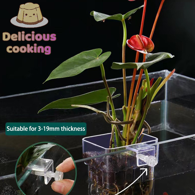 ทําอาหารแสนอร่อย Al Fish Aquarium Water Grass Plang Cup รูปที่ 4