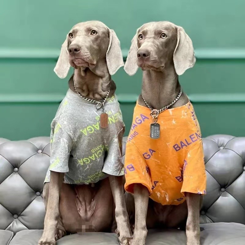 เสื้อผ้าสุนัขเสื้อผ้าสัตว์เลี้ยงบางผมสีทองลาบราดอร์ซาโมเยสุนัขขนาดใหญ่ฤดูร้อน