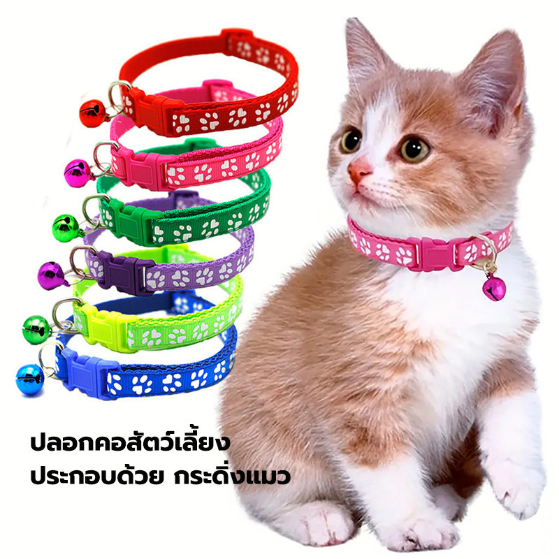 🐱🐶ปลอกคอสัตว์เลี้ยง +กระดิ่งแมว 8 สี แบบปรับขนาดได้ การระบุสัตว์เลี้ยง 🇹🇭พร้อมส่ง