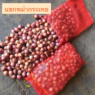 หอมแขกพม่า ยกกระสอบ น้ำหนัก6-8kg.
