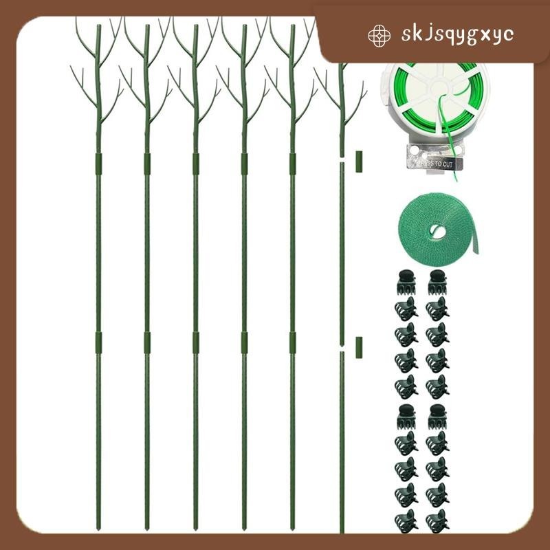 【skjsqygxyc】ชุดคลิปหนีบต้นมอนสเตอร่า สําหรับปลูกต้นไม้ในร่ม สีเขียว