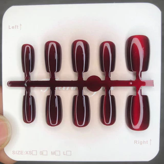 เล ็ บปลอมตาแมว 10 ชิ ้ น มีลวดลายและสไตล ์ หลากหลาย