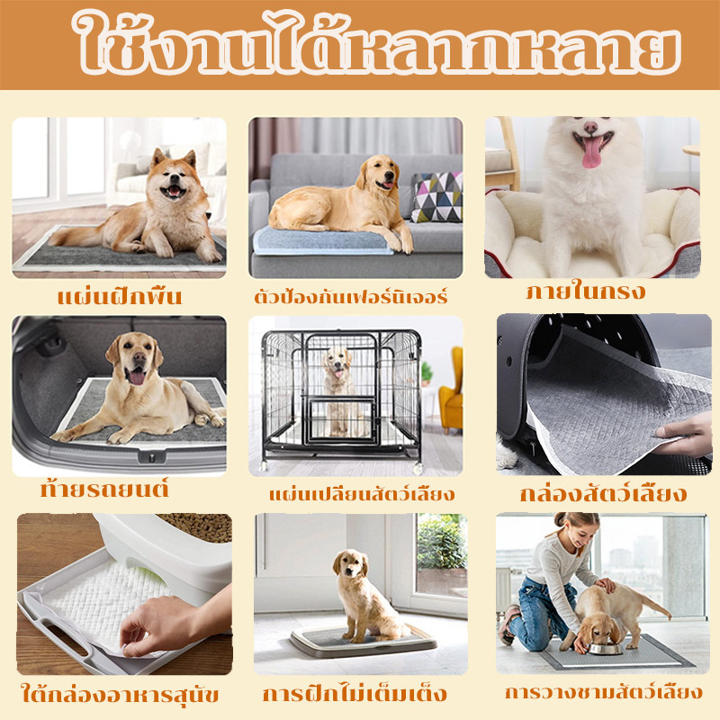 AimayaPet แผ่นรองฉี่สุนัข 100pcs แมว แผ่นรองฉี่สัตว์เลี้ยง ช่วยฝึกขับถ่าย ระงับกลิ่น ซึมซับได้ดี