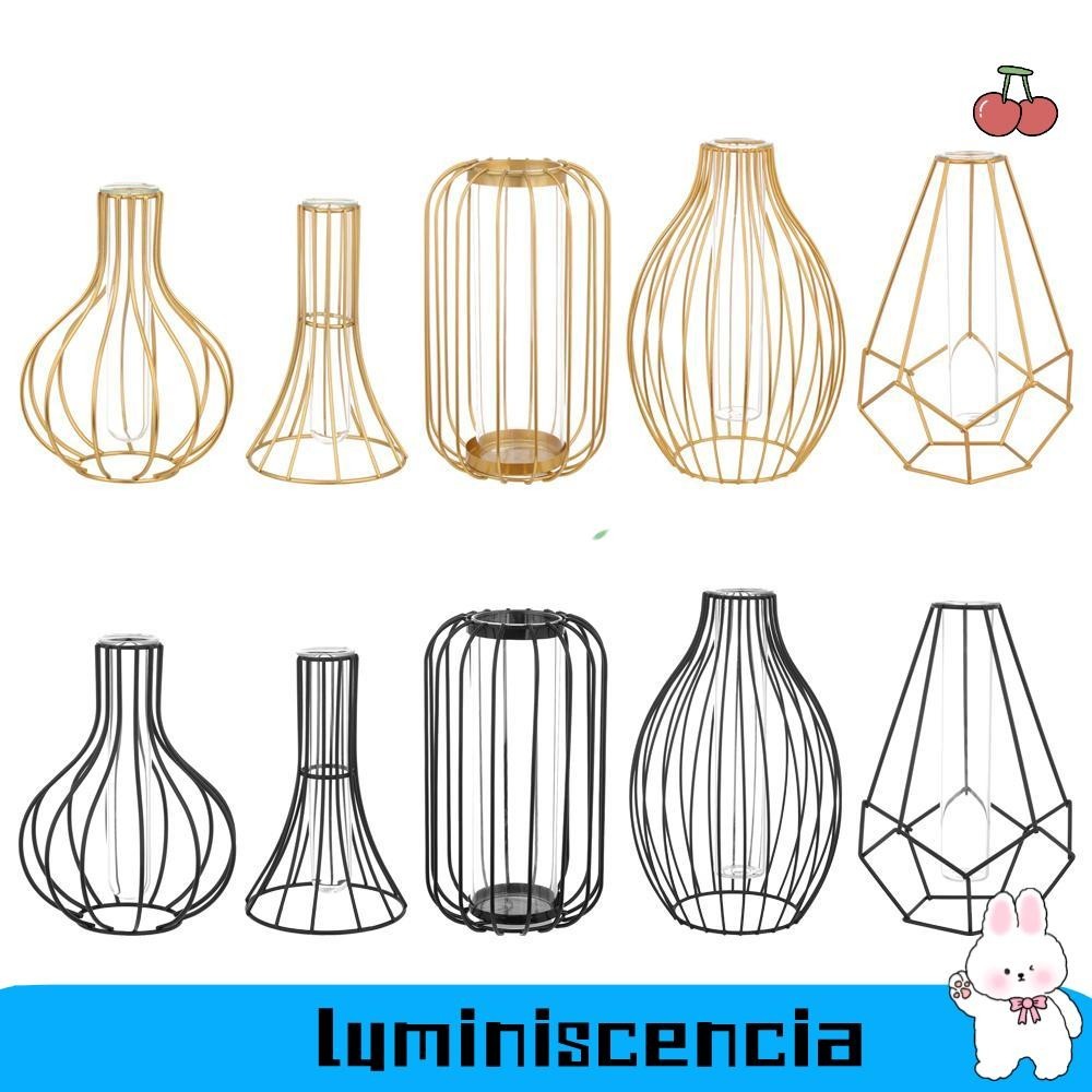 Luminiscencia แจกันศิลปะเหล ็ กหัตถกรรม Terrarium ผู ้ ถือโลหะตกแต ่ งบ ้ านหลอดทดสอบแก ้ ว