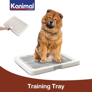 Kanimal Dog Toilet ถาดฝึกฉี่สุนัข ถาดรองซับ ห้องน้ำสุนัข รุ่นเปิดฝาบน สำหรับสุนัขพันธุ์กลาง-ใหญ่ Size M,L,XL