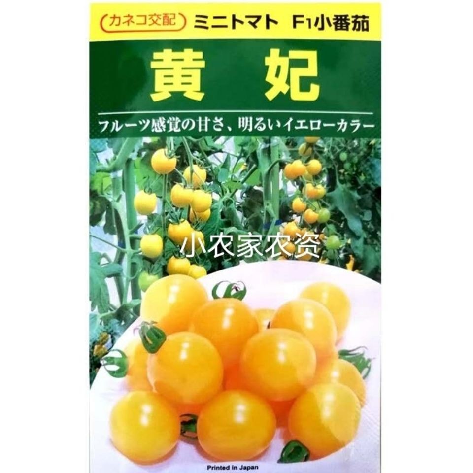 Yellow Cherry Tomato Seeds Yellow Princess Small Tomato Seeds Yellow Sansevieria Seeds Japanese Impo