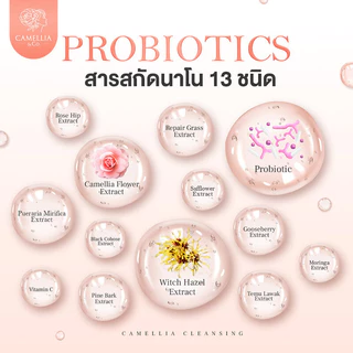 CAMELLIA Probiotic Cleansing Sensitive 95ml ผลิตภัณฑ์ทำความสะอาดจุดซ่อนเร้น.