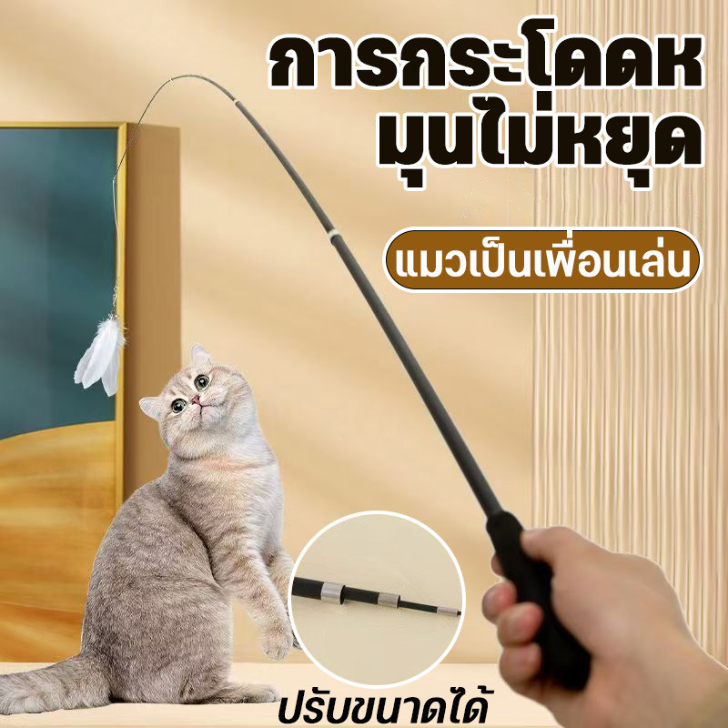 COD  ยืดหดได้ ของเล่นเเมว ขนาดยาวพิเศษ1.8ม ไม้ล่อแมว ไว้ล่อแมว ของเล่นขนนกแมวพร้อมก้านยาว