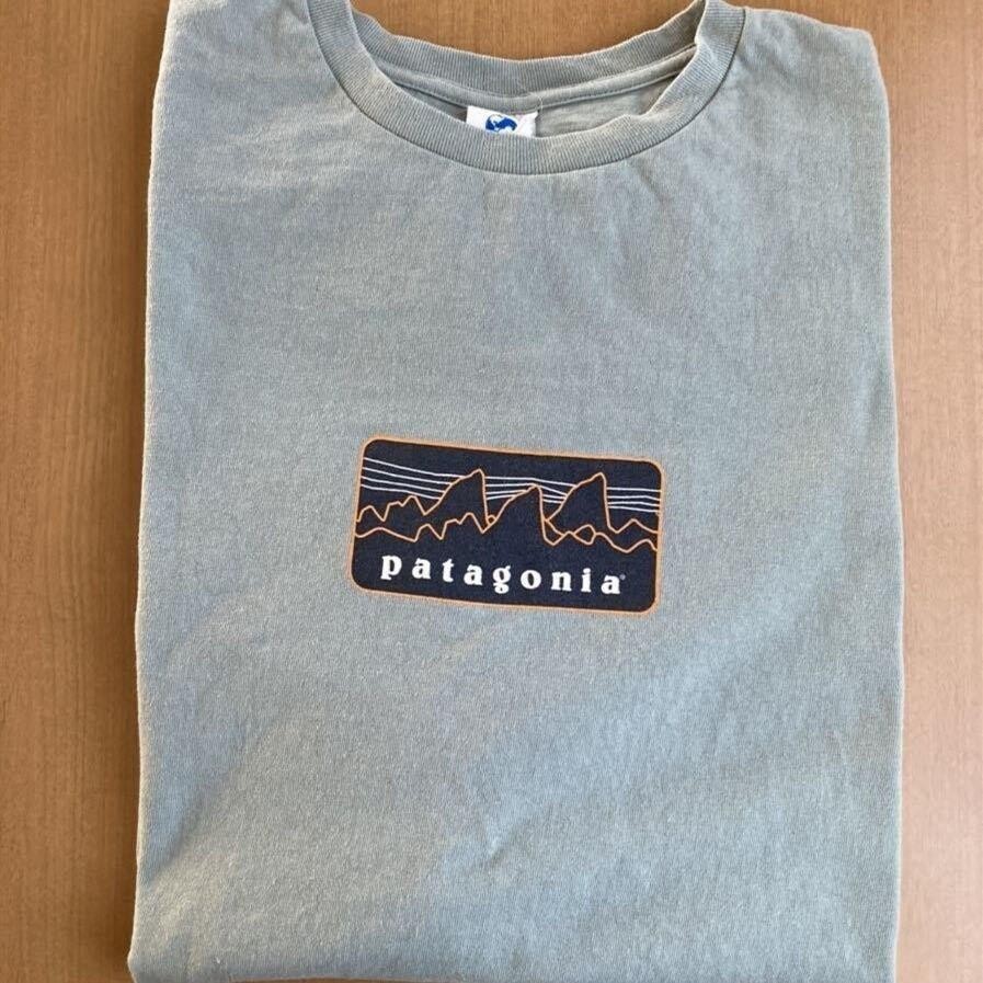 2024 เสื้อยืดแขนสั้น ผ้าฝ้าย พิมพ์ลายภูเขา Patagonia แฟชั่นฤดูร้อน สําหรับผู้ชาย และผู้หญิง