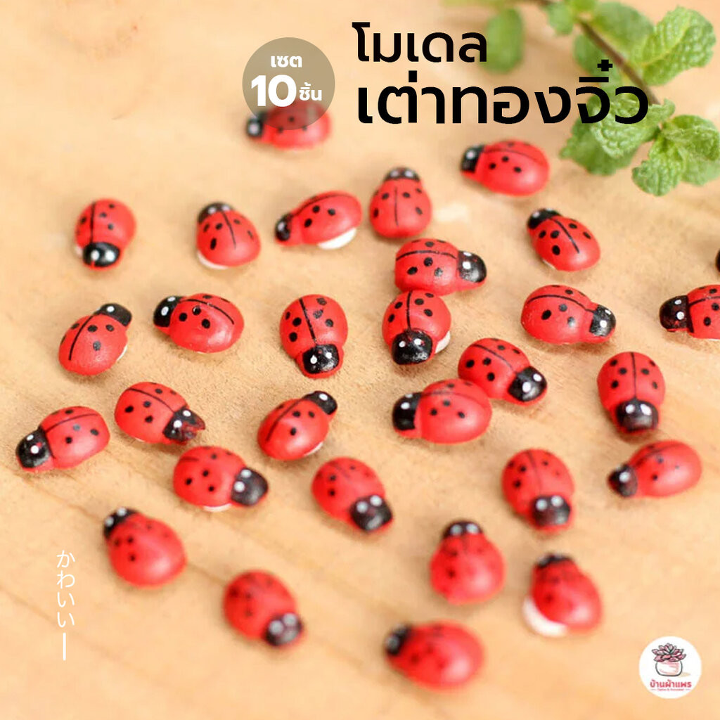 เต่าทองจิ๋ว [ เซต 10 ชิ้น ] ตุ๊กตาจิ๋ว โมเดลจิ๋ว แต่งสวน ตุ๊กตาแต่งสวนจิ๋ว ตุ๊กตาจัดสวนถาด