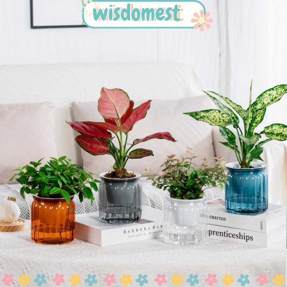 Wisdomest กระถางดอกไม้, รดน้ําด้วยตนเองที่ถอดออกได้กระถางต้นไม้ Hydroponic, แฟชั่นพลาสติก Mini Succulent Planter แจกันตั้งโต๊ะ