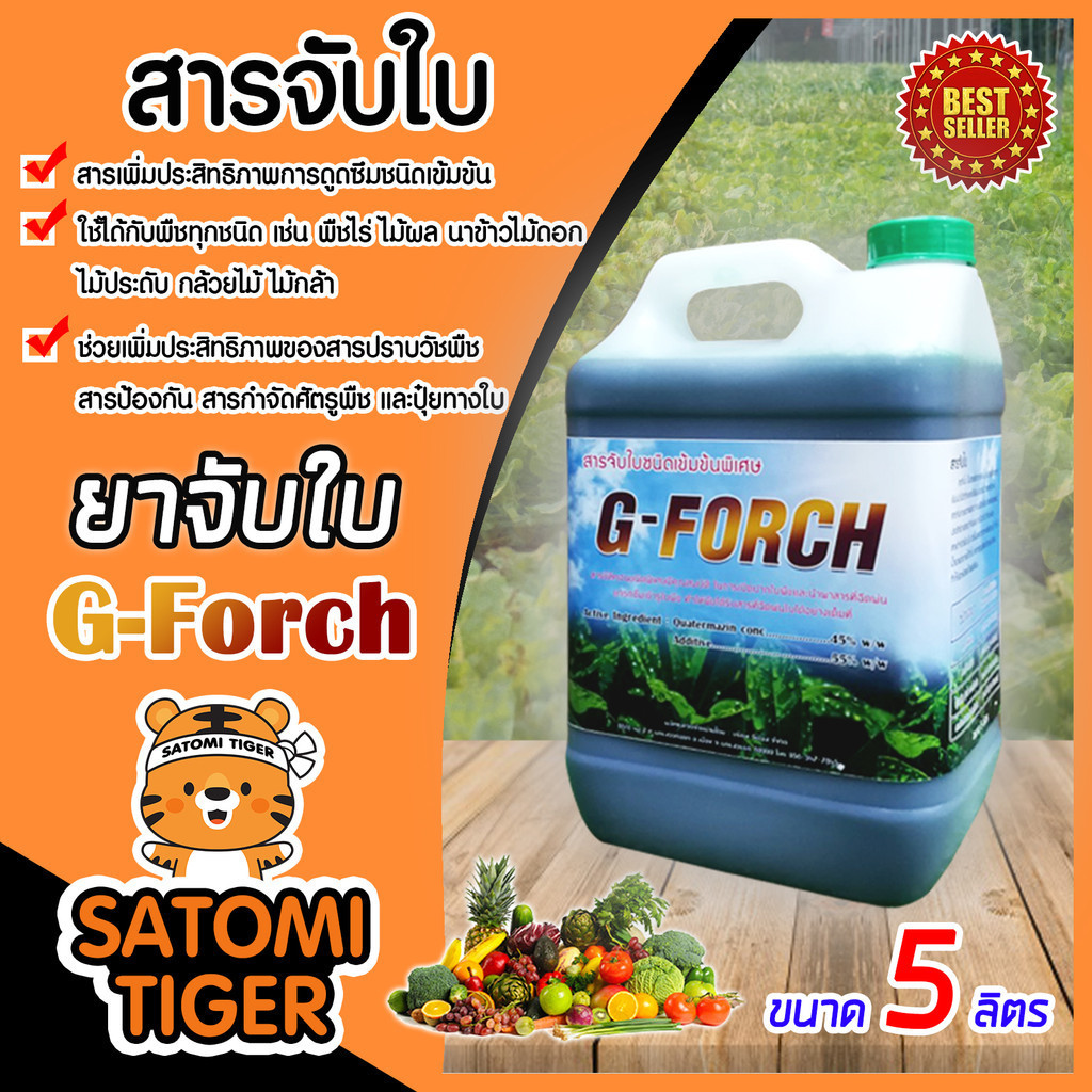 G-force และ Mountain สารจับใบเข้มข้นชนิดพิเศษ ขนาด 5,25ลิตร  ช่วยในการยึดเกาะพื้นผิว ทำให้น้ำยาแผ่กว้าง ดูดซึมได้ดี