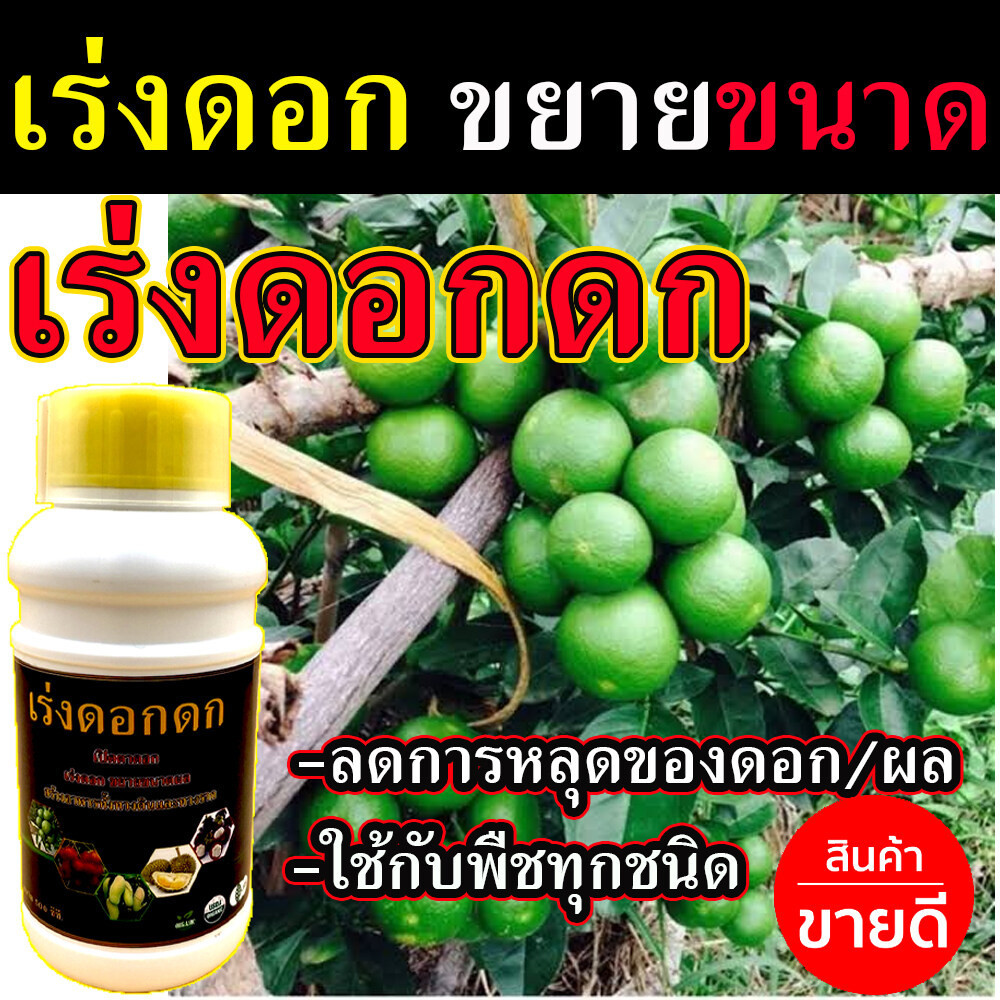 น้ำยาเร่งดอกดก 500 ซีซี (ไร้สารเคมี) ยาเร่งดอกและผล ยาเร่งดอกผลไม้ เร่งดอกดก เร่งดอกเร่งผล เร่งดอกมะ