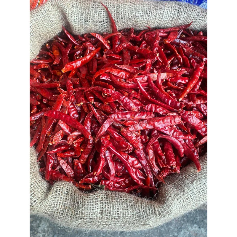 เด็ดแท้ พริกจินดา(อินเดียเด็ด) คัดสวย น้ำหนัก 1 กิโลกรัม เผ็ดสุดๆ