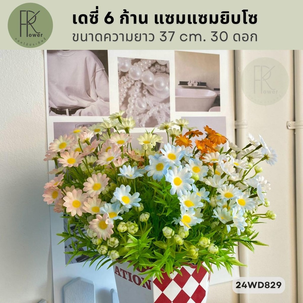 เดซี่ 6 ก้าน แซมแซมยิบโซ  ขนาดความยาว 37 cm. 30 ดอก